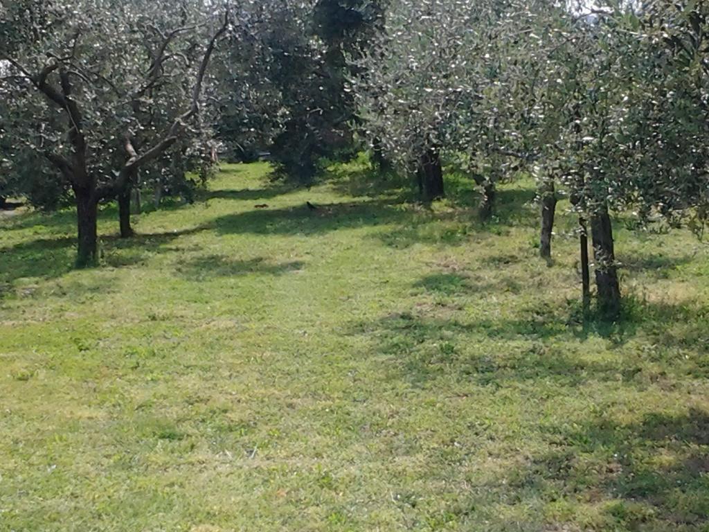 Agriturismo Corte Galvani Negrar Εξωτερικό φωτογραφία